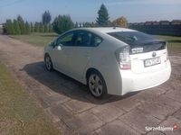 Obraz 3