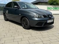 Obraz 3