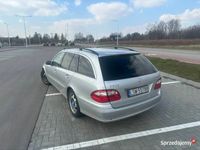 Obraz 3