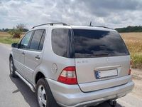 Obraz 3