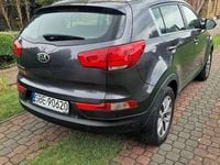 Obraz 3