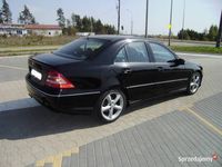 Obraz 3