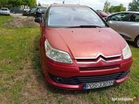 Obraz 2