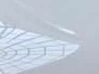 Używany VW Golf VI 122 KM (89 kW) 2012 Biały Hatchback