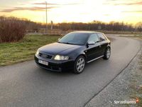 Obraz 3