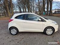 Używany Ford Ka 69 KM (50 kW) 2009 Biały Hatchback