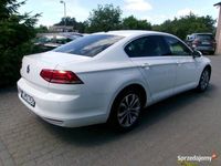 Obraz 3