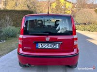 używany Fiat Panda 