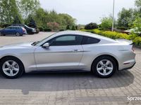 używany Ford Mustang 