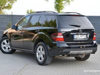 Obraz 2