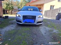 Obraz 3