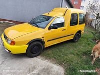 Obraz 2
