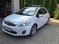 Obraz 1