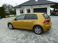 Używany VW Golf VII 115 KM (84 kW) 2019 Żółtozłoty Hatchback