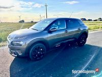 Używany Citroën C4 Cactus 2019 Brązowy Hatchback