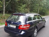 Obraz 3