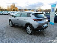 używany Opel Grandland X F-VAT,Salon-PL,Gwarancja,I-właściciel,Elit…