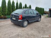 używany Citroën Xsara Picasso 