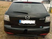 Obraz 3