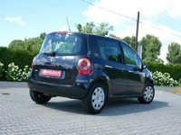 Obraz 3