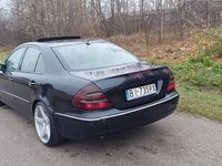 Obraz 3