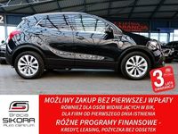 Obraz 2