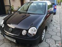 Obraz 3