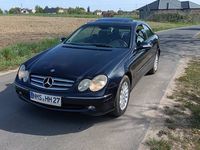Obraz 3