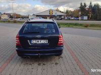 Obraz 2