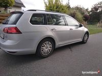 Używany VW Golf VII Comfortline 116 KM (85 kW) 2016 Srebrny Kombi