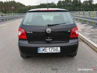 Obraz 3
