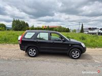 Obraz 2