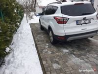 Używany Ford Kuga 182 KM (133 kW) 2018 SUV