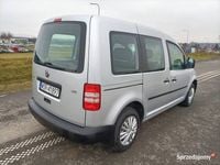 Obraz 3