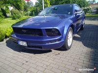 Obraz 1