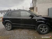 Obraz 3