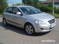 Obraz 3