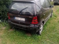 Obraz 2
