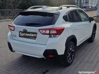 Używany Subaru XV 2019 SUV