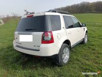 używany Land Rover Freelander 4x4 automat ksenony hak skóra tempomat