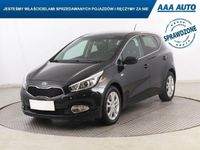 Obraz 3