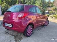 Używany Ford Ka 2009 Bordowy Hatchback