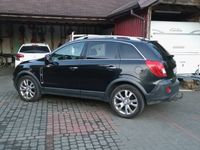 Obraz 1