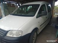 Obraz 3