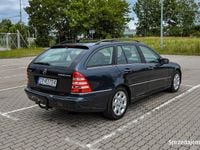 Obraz 3