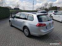 używany VW Golf VII 1.6 TDI 2016r