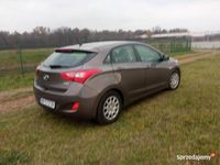 Obraz 1