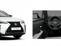 używany Lexus UX Hybryda 250h 184KM Business Pakiet Techno Super Ni…