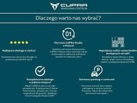 Obraz 2