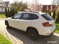 Obraz 3